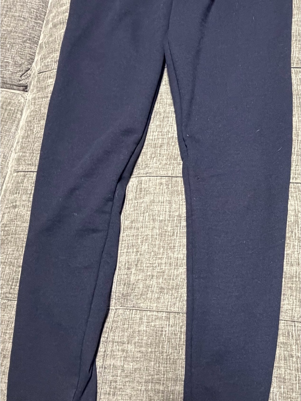 Champion Men's Dark Navy Jogger Sweatpants